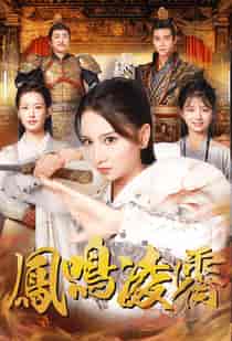 凤鸣凌霄（65集全）-初遇资源网