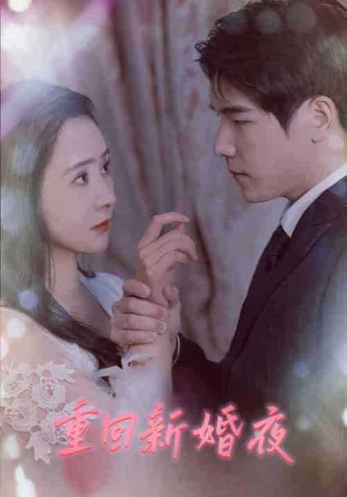 重回新婚夜(80集全)顾庭深&叶清念-初遇资源网