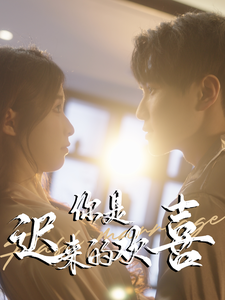 你是迟来的欢喜（78集全）-初遇资源网