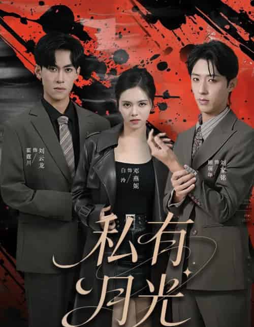 私有月光（78集全）刘云龙＆邓燕妮-初遇资源网