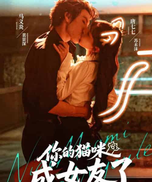 你的猫咪成女友了(70集全)唐七七&马义炎-初遇资源网
