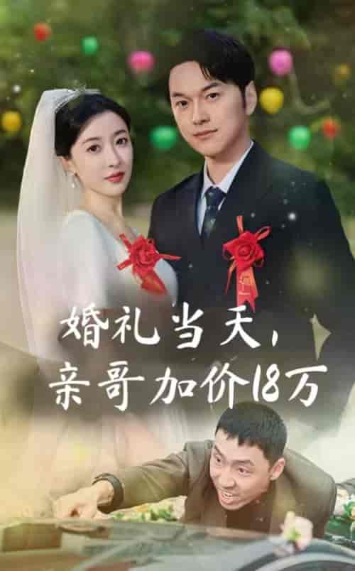 婚礼当天，亲哥加价18万（36集全）-初遇资源网