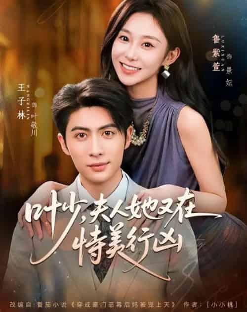 叶少，夫人她又在恃美行凶（72集全）王子林＆鲁紫萱-初遇资源网