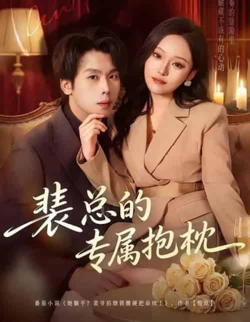 裴总的专属抱枕（78集全）艾江山＆橘子-初遇资源网