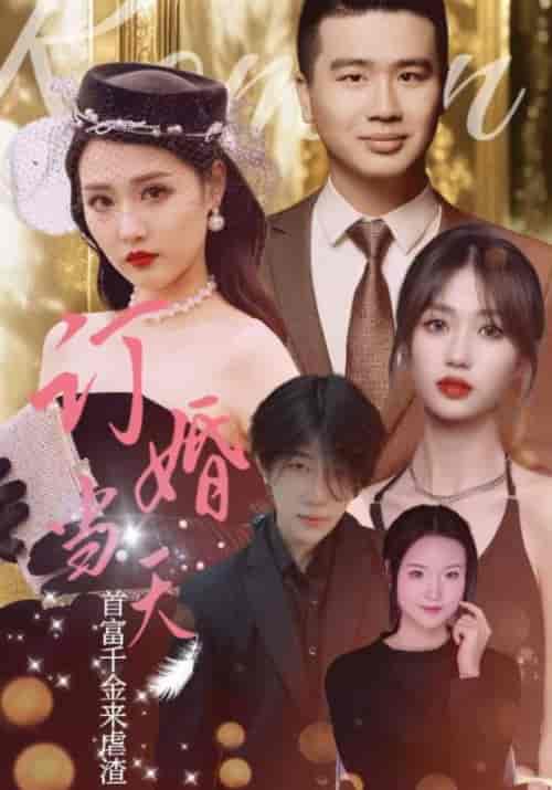 订婚当天富豪千金来虐渣（30集全）夏怀安＆李佳怡-初遇资源网