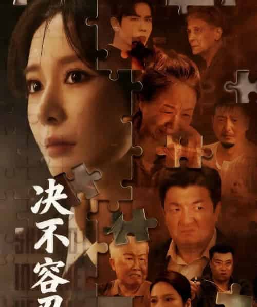 决不容忍＆以身入局的她（70集全）马星烁＆王小橙-初遇资源网