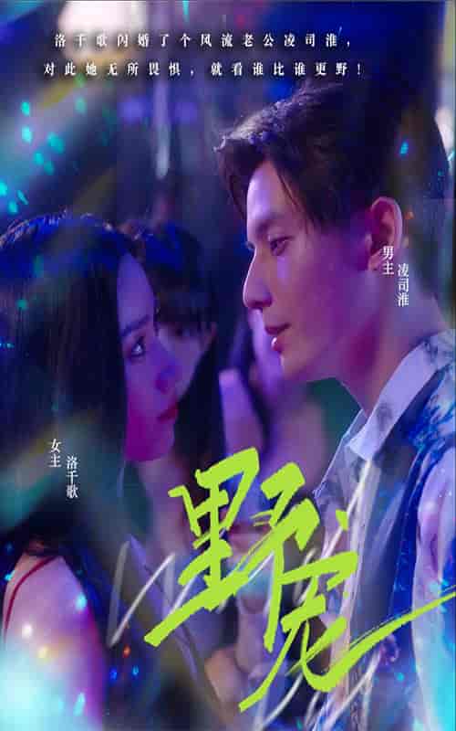 野宠100-初遇资源网