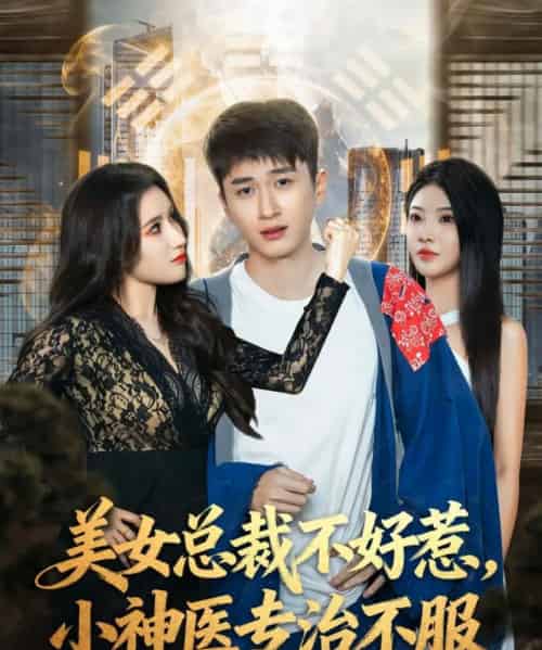 美女总裁不好惹，小神医专治不服（80集全）陈彦霖＆金瞳-初遇资源网
