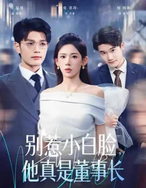 别惹小白脸,他真是董事长(68集全)张思琦&刘宸羽-初遇资源网