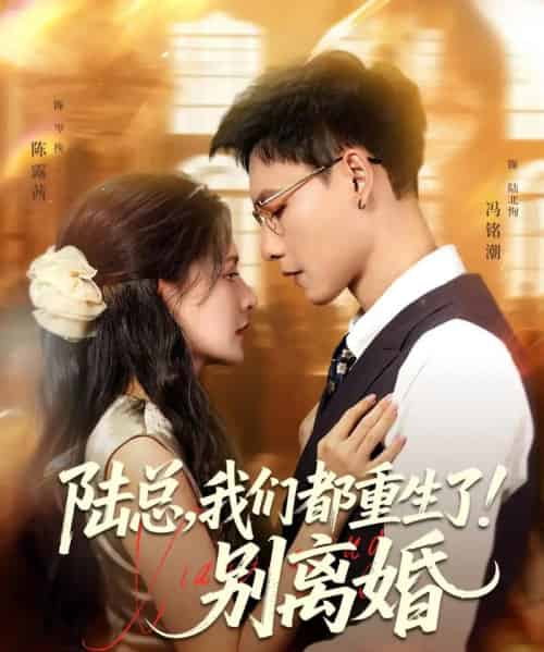 陆总我们都重生了别离婚（79集）冯铭潮＆陈露茜-初遇资源网
