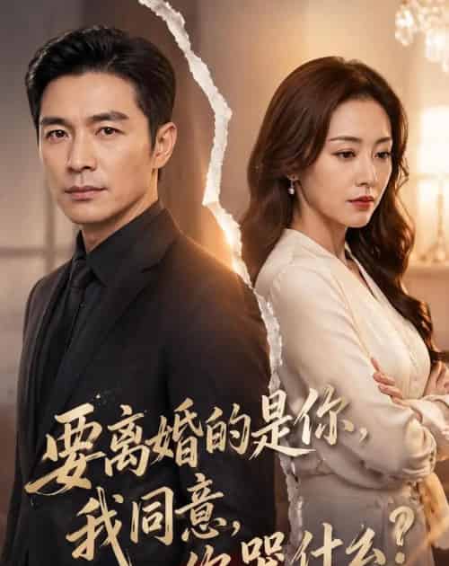 要离婚的是你，我同意，你哭什么？（45集全）AI - 夸克短剧