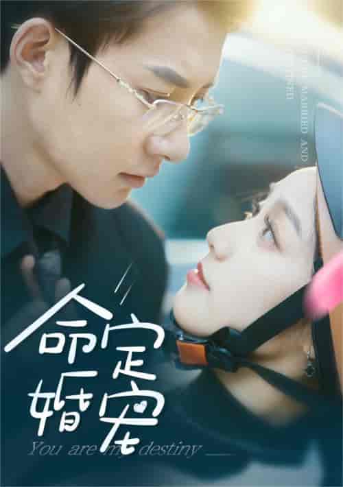 命定婚宠（61集）-初遇资源网