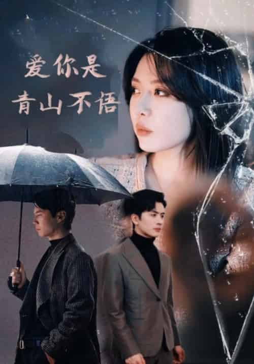 爱你是青山不语(90集全)顾南辰&林晚意-初遇资源网
