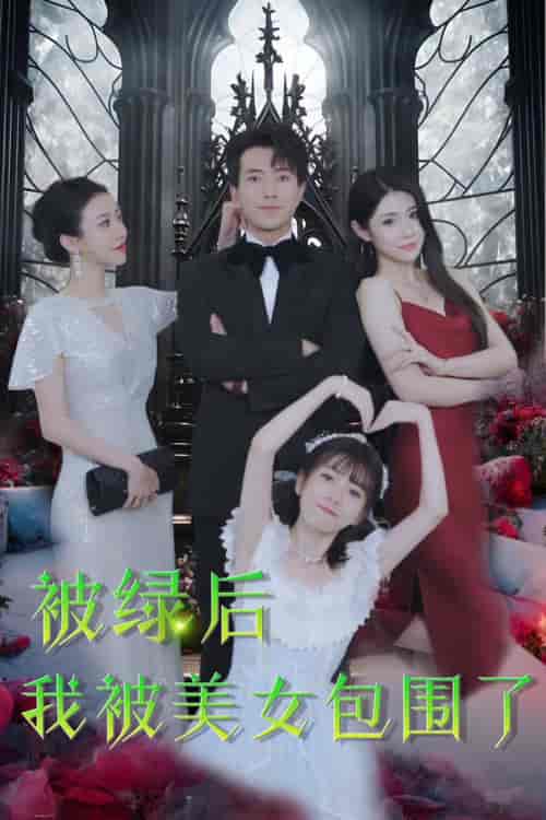 被绿后我被美女包围了（97集）-初遇资源网