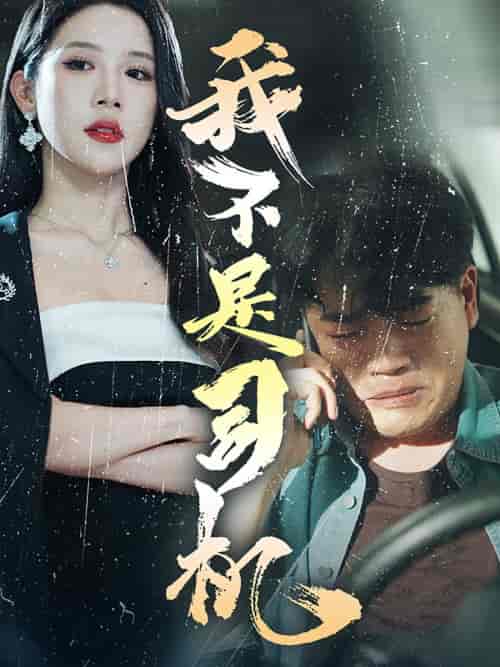 我不是司机(61集)林绮婷-初遇资源网