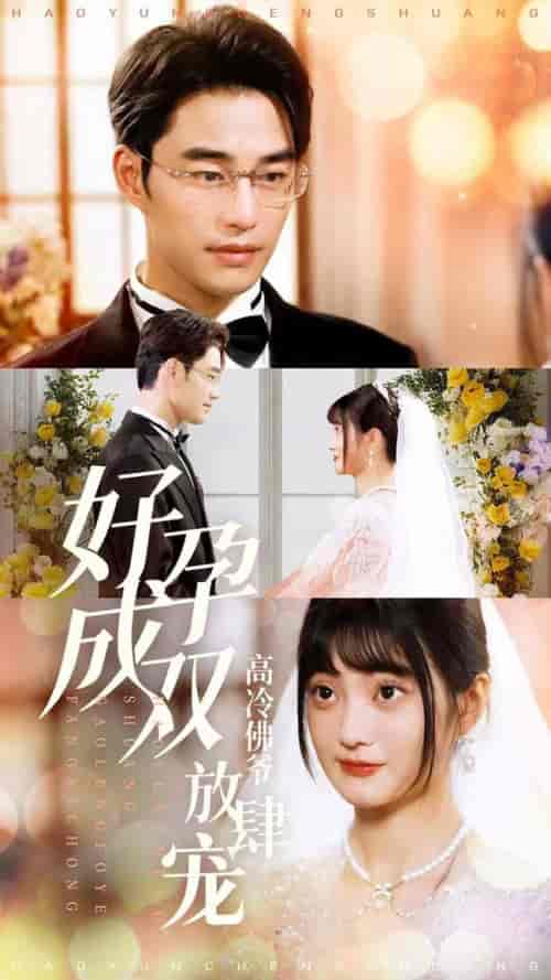 好孕成双高冷佛爷放肆宠(86集)-初遇资源网