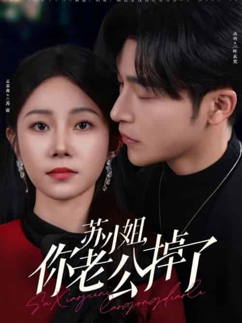 苏小姐你老公掉了(80集全)常高明&孟嘉鑫-初遇资源网