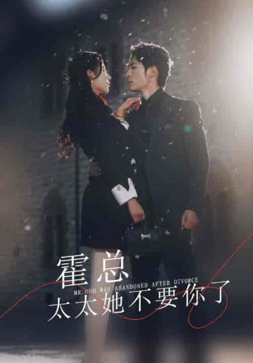 霍总，太太她不要你了（89集）秦天爱-初遇资源网