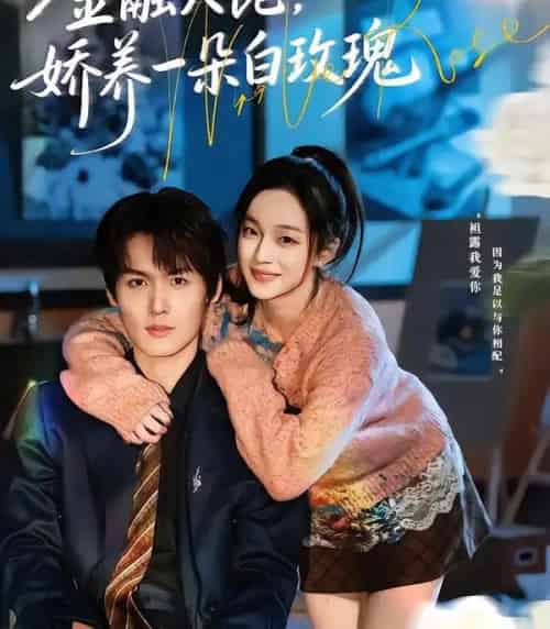 金融大佬，娇养一朵白玫瑰（70集全）董玥妤＆周昊杉-初遇资源网