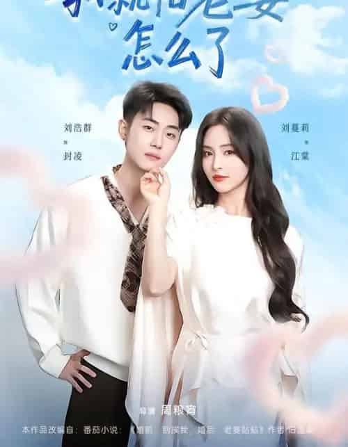 我就怕老婆怎么了（88集全）刘浩群＆刘蔓莉-初遇资源网