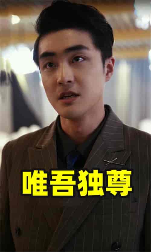 唯吾独尊（96集）-初遇资源网