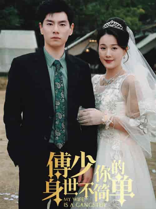 傅少你的身世不简单（89集）-初遇资源网