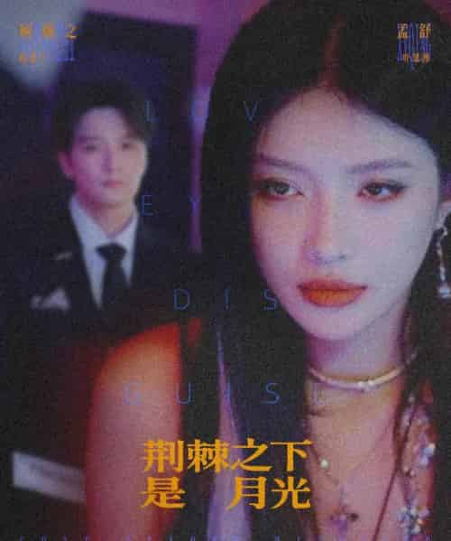 荆棘之下是月光＆鸳鸯相抱何时了（66集全）陈思宇＆叶思彤-初遇资源网