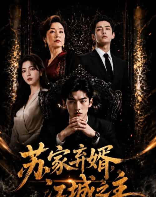 苏家弃婿,江城之主(43集全)AI-初遇资源网