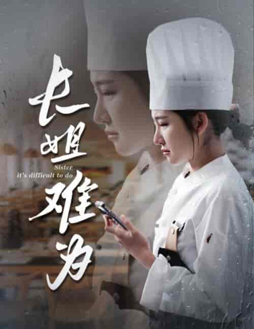 长姐难为（60集全）喻嘉琳 乐瑶-初遇资源网