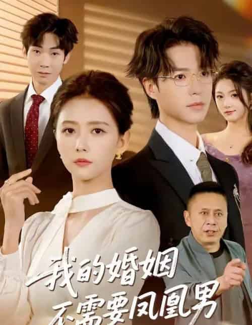 我的婚姻不需要凤凰男 我的婚姻不需要凤凰男