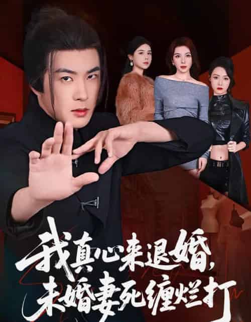 我真心来退婚,未婚妻死缠烂打 我真心来退婚,未婚妻死缠烂打
