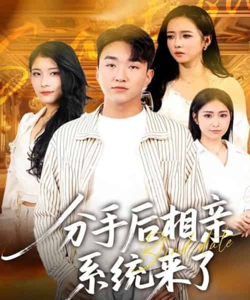 分手后相亲系统来了(81集全)张凯悦&雷小米&王必可-初遇资源网