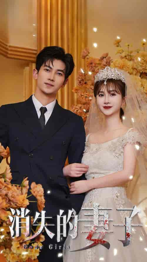 新:消失的妻子(100集)王骊亚-初遇资源网