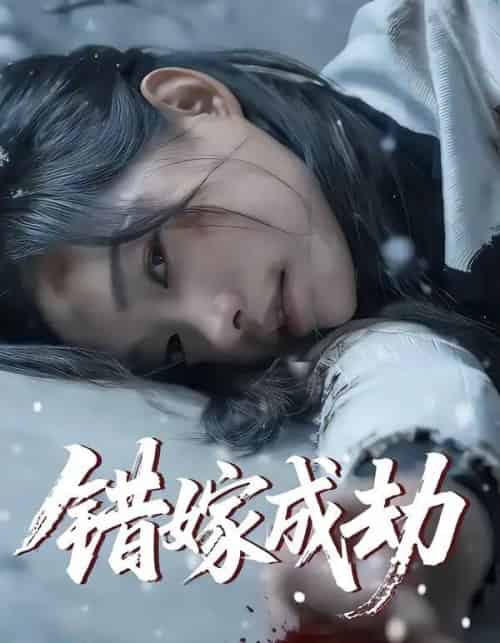 错嫁成劫（60集全）王向志＆洪佳宁-初遇资源网