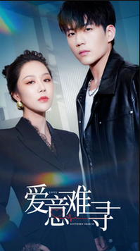 爱意难寻(40集全)杜培源&钟莹玲-初遇资源网