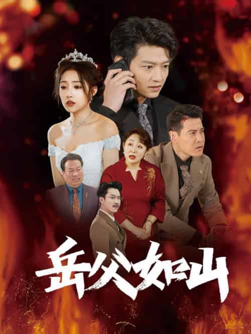 岳父如山＆岳父的礼物（30集全）阚梓艺-初遇资源网