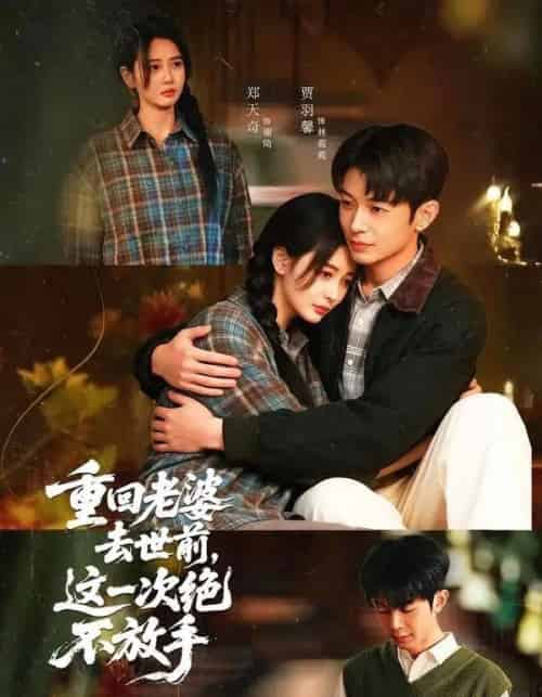 重回老婆去世前,这一次绝不放手(80集全)郑天奇&贾羽馨-初遇资源网