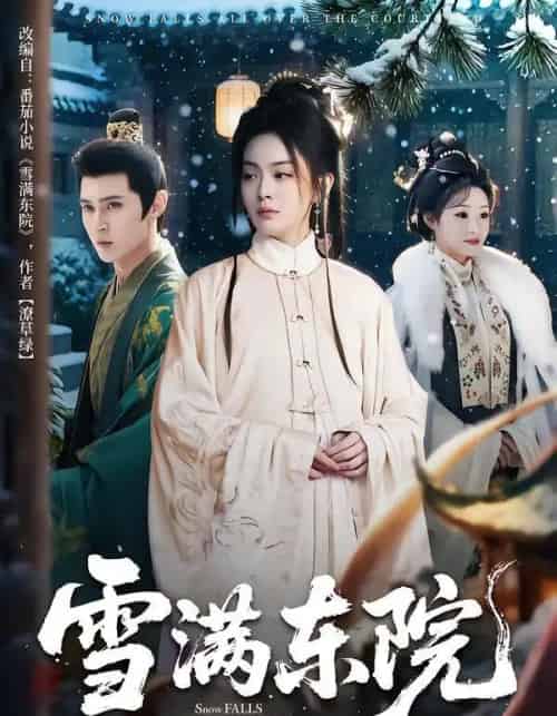 雪满东院（60集全）赵安第＆沈渡-初遇资源网