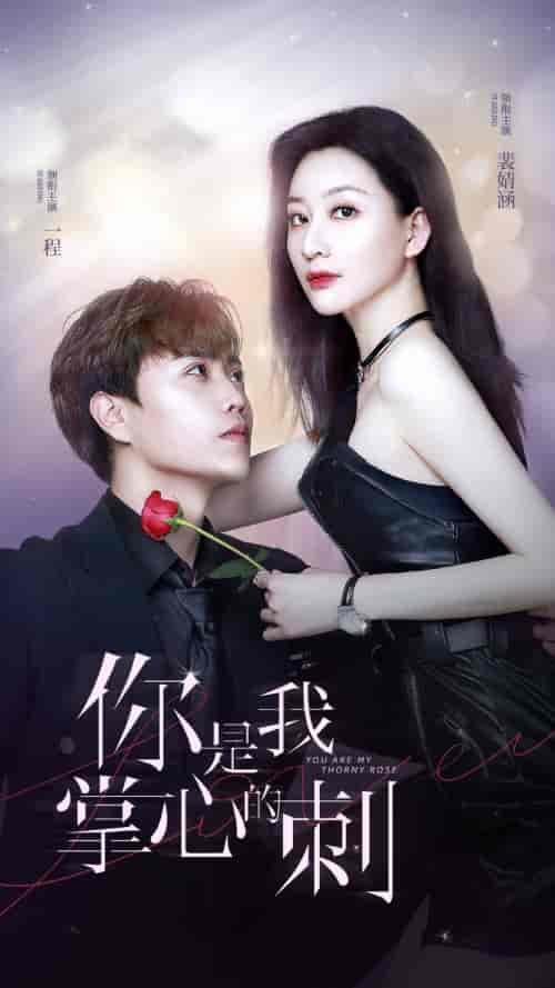 你是我掌心的刺（100集）-初遇资源网