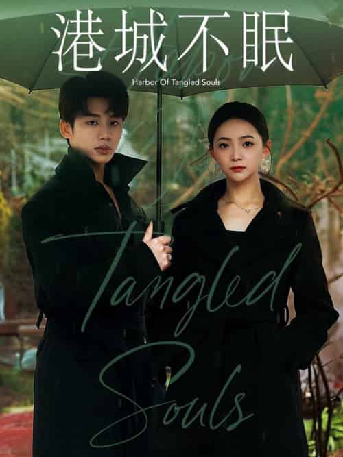 港城不眠（87集全）李子杰＆许丹-初遇资源网