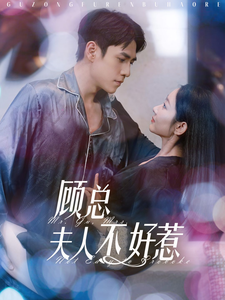 顾总夫人不好惹（80集全）张添景＆孟嘉鑫-初遇资源网