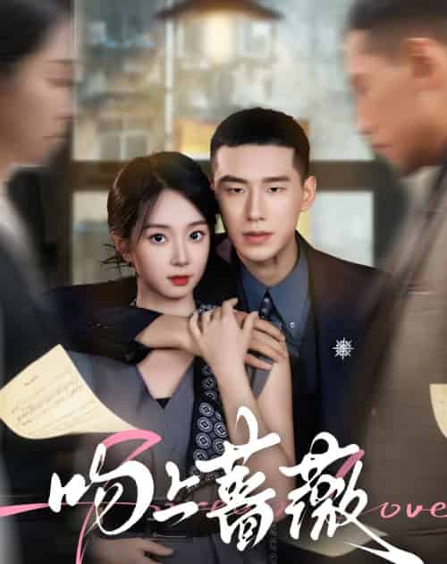 吻上蔷薇（85集全）王慧龙＆张紫菡-初遇资源网