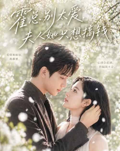 霍总别太爱，夫人她只想搞钱（66集全）AI-初遇资源网