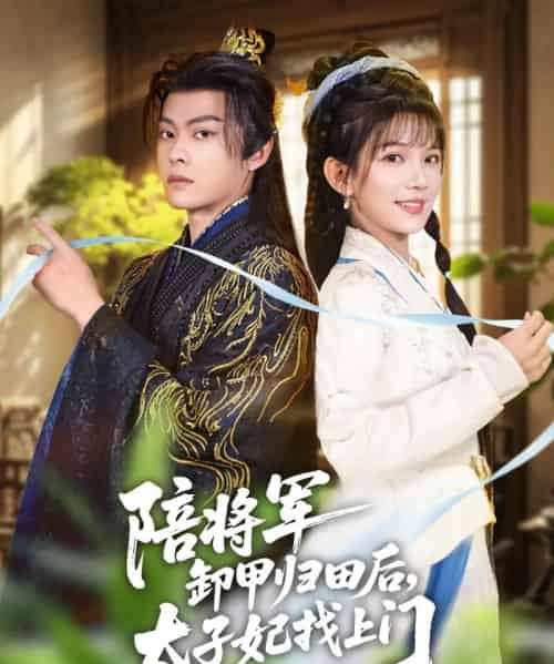 陪将军卸甲归田后，太子妃找上门（60集全）朱芝琳＆朱城玮-初遇资源网