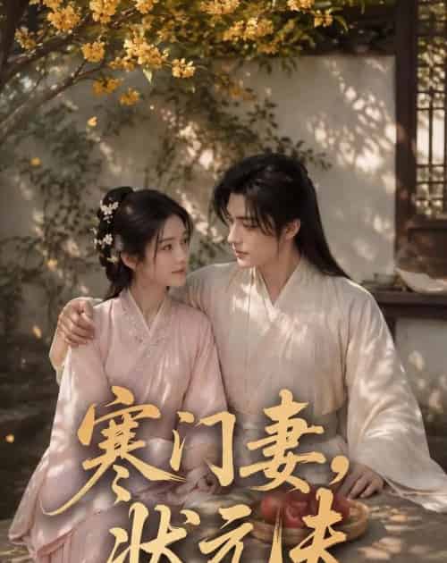 寒门妻，状元夫（66集全）AI-初遇资源网
