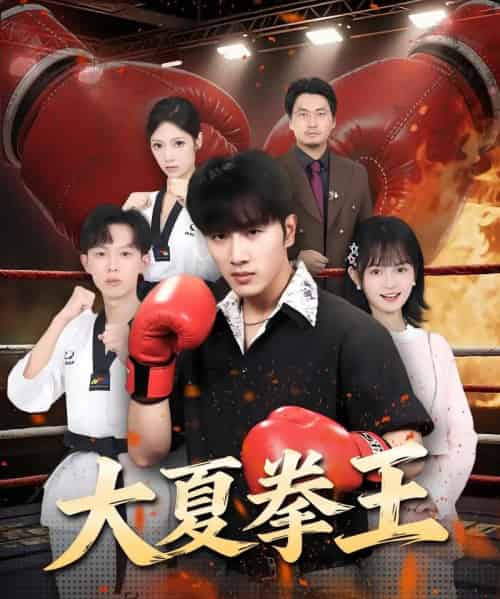 大夏拳王（80集）都市脑洞·都市·全80集-初遇资源网