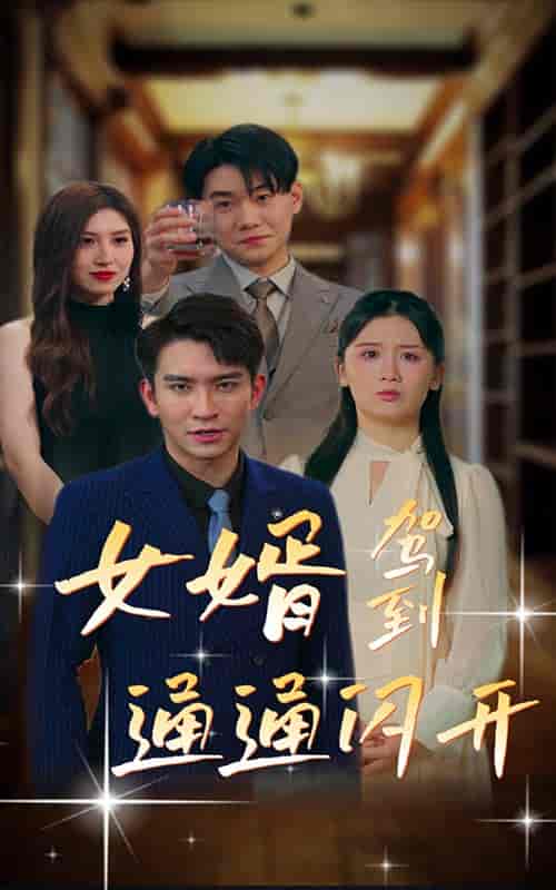 女婿驾到,通通闪开(34集)-初遇资源网