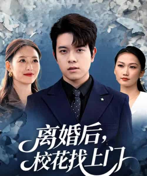 离婚后,校花找上门(80集全)姜沣&黄斯琪-初遇资源网