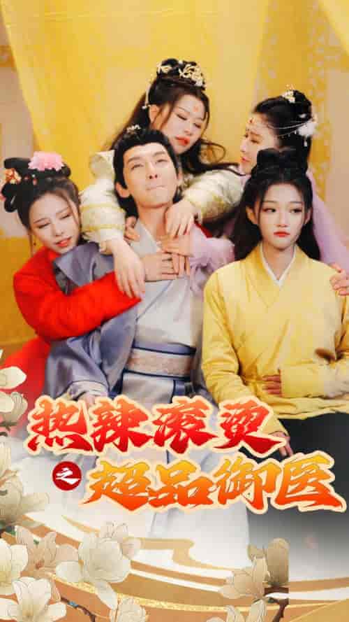 热辣滚烫之超品御医(92集)-初遇资源网