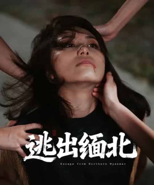 逃出缅北（62集）刘振安＆汪芷萱-初遇资源网